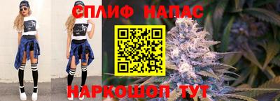 jwh Будённовск