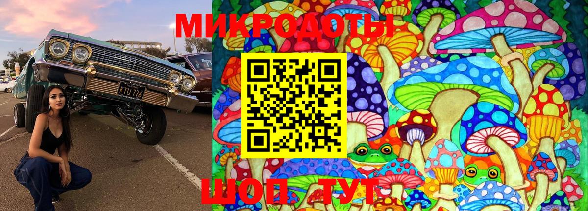 Псилоцибиновые грибы прущие грибы Лосино-Петровский