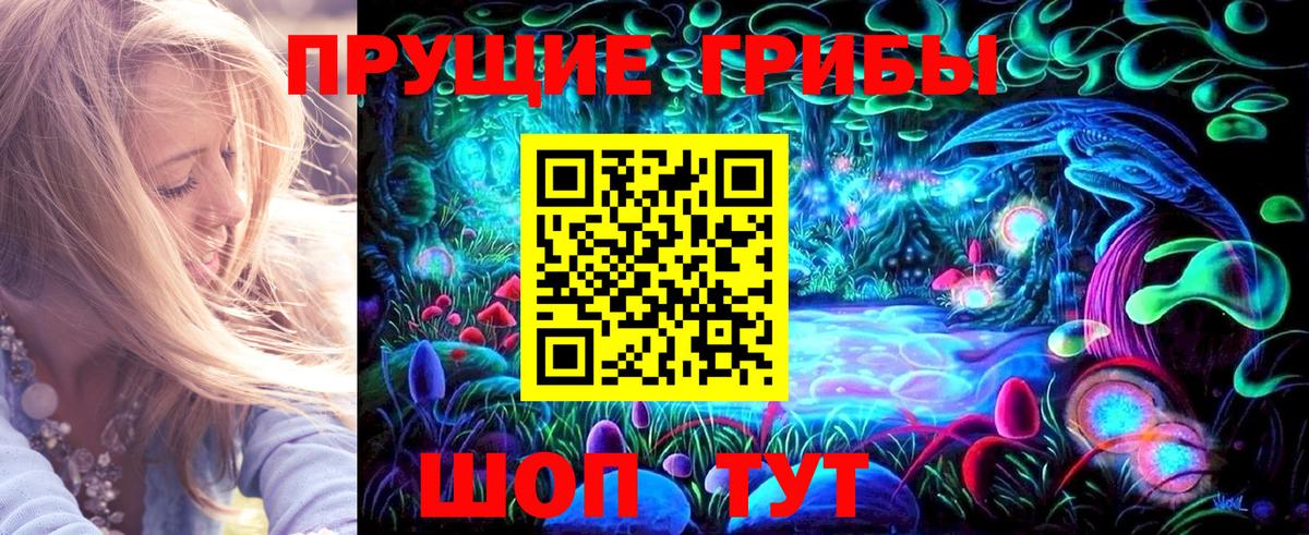 Лосино-Петровский  Псилоцибиновые грибы мухоморы  Вход с VPN 